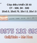 Hình ảnh: Cáp điều khiển 25 lõi 25x0.5, 25x0.75, 25x1.0, 25x1.5 CT 500, SH 500