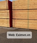 Hình ảnh: EXIMVN nhận ủy thác XNK Gỗ các loại