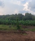 Hình ảnh: Bán 1.5 ha đất xã Đá Bạc, Châu Đức, BRVT, giá đầu tư. Lh:0377973839.