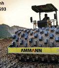 Hình ảnh: Đại Lý Lu Rung Ammann Tại Việt Nam