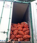 Hình ảnh: Container lạnh bảo quản rau củ quả