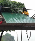 Hình ảnh: Sửa cửa sắt tại nhà đẹp nhất Sài Gòn