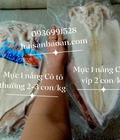 Hình ảnh: Bán mực 1 nắng giá tốt ở Hà Nội