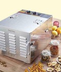 Hình ảnh: Tủ sấy hoa quả thực phẩm 10 khay