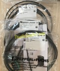 Hình ảnh: Cảm biến Pepperl Fuchs ML100 8 H 350 RT/102/115