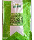 Hình ảnh: Hạt giống rau muống lá tre Rạng Đông (loại 1kg)