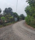 Hình ảnh: Bán đất mặt tiền đường An Nhơn Tây, Củ Chi cách TL7 300m , giá 6.2 tỷ