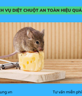 Hình ảnh: Dịch vụ diệt chuột, kiểm soát chuột an toàn hiệu quả cao