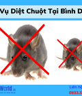 Hình ảnh: Dịch vụ diệt chuột tại Bình Dương