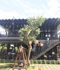 Hình ảnh: mái xếp quán cafe tạo không gian thoáng mát