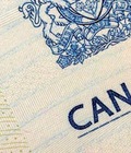 Hình ảnh: Thủ tục nộp hồ sơ xin Visa Canada Online