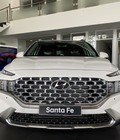 Hình ảnh: Hyundai Santa Fe Đẳng cấp Tiện nghi Sang trọng