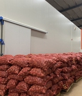 Hình ảnh: Kho lạnh bảo quản khoai tây