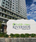 Hình ảnh: Căn hộ chung cư Ecolife Riverside hiện tại là nơi đáng sống nhất TP Quy Nhơn