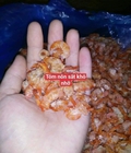 Hình ảnh: Nơi bán tôm khô Quảng Ninh chuẩn sạch