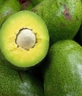 Hình ảnh: Lắp đặt sửa chữa kho lạnh bảo quản bơ