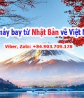 Hình ảnh: Cập nhật vé máy bay từ Nhật Bản về Việt Nam mới nhất