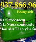 Hình ảnh: Sản xuất thùng chở hàng nhựa composite, thùng giao cơm pizza, thùng chở hàng sau xe máy