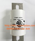 Hình ảnh: Cầu chì Bussmann FWP 250A