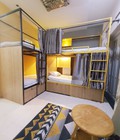 Hình ảnh: Cho thuê homestay ký túc xá sleep box cao cấp quận 10, Hồ Chí Minh