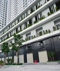 Hình ảnh: Căn hộ chung cư Ecolife Riverside, lý do phải sở hữu căn hộ này trong thời điểm vàng