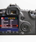 Hình ảnh: Canon EOS 50D 18847