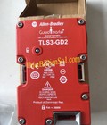 Hình ảnh: TLS3 GD2 Công tắc bảo vệ Allen Bradley Cty Thiết Bị Điện Số 1