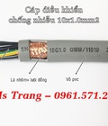 Hình ảnh: Cáp điều khiển 10x0.5, 10x0.75, 10x1.0, 10x1.5
