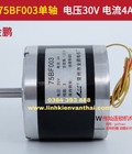 Hình ảnh: Động cơ bước tiến 75BF001 sử dụng cho máy cắt dây molipden