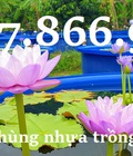Hình ảnh: Thùng nhựa lớn làm lọc nước, thùng nhựa nuôi lơn, thùng nhựa trồng rau sạch