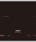 Hình ảnh: Bếp từ Homy HM-196