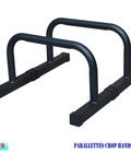 Hình ảnh: Parallettes Crop Handstand 35cm Xà kép mini Pocorrys PCH 01