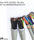 Hình ảnh: Cáp điều khiển 12 lõi 12x0.5, 12x0.75, 12x1.0, 12x1.5 giá tốt