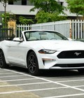 Hình ảnh: Chi tiết Ford Mustang Convertbile mới 2021 nhập khẩu về Việt Nam