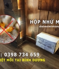 Hình ảnh: Dịch vụ diệt mối tận gốc tại bình dương công ty diệt mối minh long