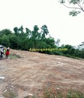 Hình ảnh: Cần bán lô đất rộng mặt tiền QL1A, Hải lăng Quảng Trị.