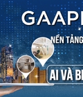 Hình ảnh: GAAPNOW là gì