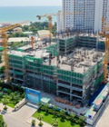 Hình ảnh: Chính chủ bán CH du lịch Vũng Tàu Pearl, 53m2 view đẹp, pháp lý đầy đủ