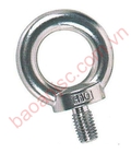 Hình ảnh: bu lông tai cẩu BAA EB 201 series