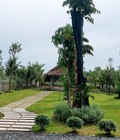 Hình ảnh: Đất ven Sài Gòn nơi đầu tư an cư nghỉ dưỡng tại Củ Chi, giá rẻ nhất KV