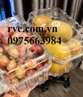Hình ảnh: Hộp nhựa đựng trái cây 1kg P1000B giá tốt nhất thị trường
