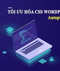 Hình ảnh: Tối ưu hóa CSS Wordpress đơn giản với Autoptimize