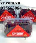 Hình ảnh: Chuyên sỉ hộp nhựa đựng cherry tại Sài Gòn