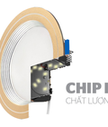 Hình ảnh: Đèn LED Downlight đổi màu ROMAN - 3 chế độ màu