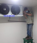 Hình ảnh: Thi công kho lạnh bảo quản thịt heo uy tín