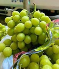 Hình ảnh: Nho xanh mỹ dòn ngọt