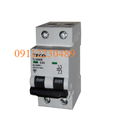 Hình ảnh: Mcb 2 pha 40A