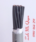 Hình ảnh: Cáp điều khiển CT 500 16G 0.75 sqmm, CT 500 20G 0.75 sqmm hàng sẵn tại kho
