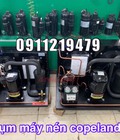 Hình ảnh: Lên cụm máy nén copeland 3hp CRNQ 0300