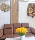 Hình ảnh: Nhà kiến trúc đẹp HXH, 69m2, Gò Vấp, Chỉ 5.9 tỷ, 0961782649